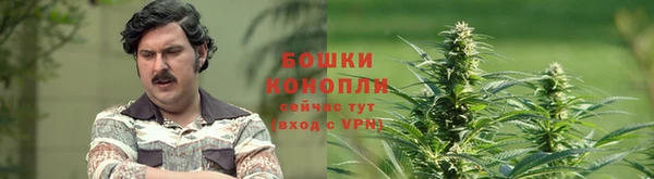 твердый Каменка