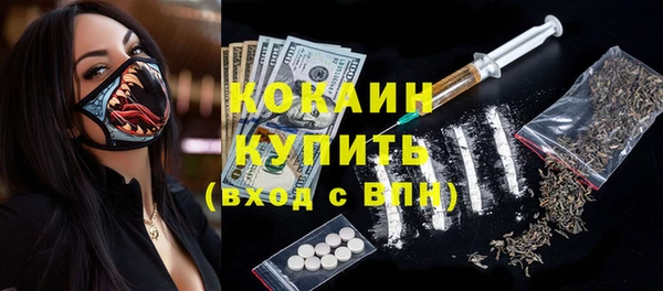 твердый Каменка